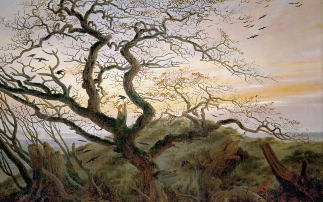 The way of crookedness: Lessons from an oak tree