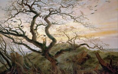 The Crooked Way: Lessons from an Oak Tree